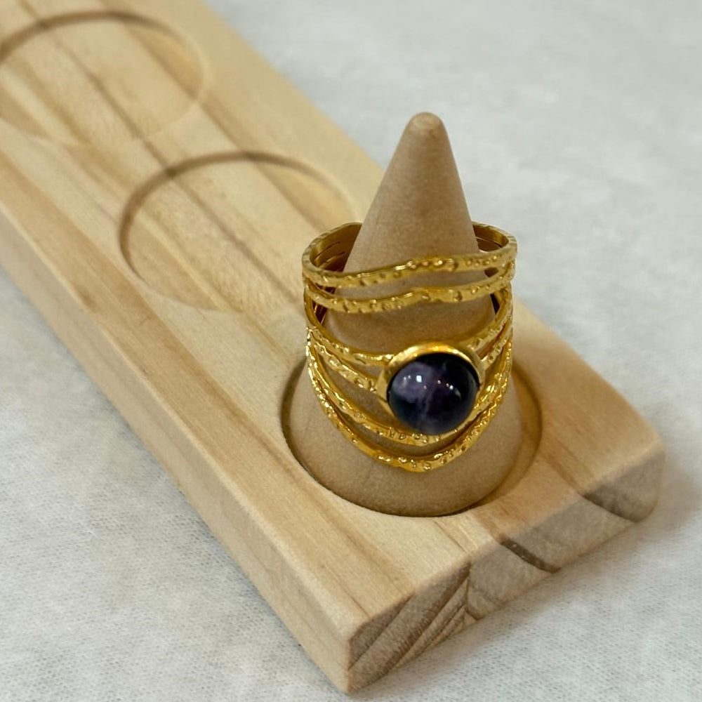 Anillo Órbita