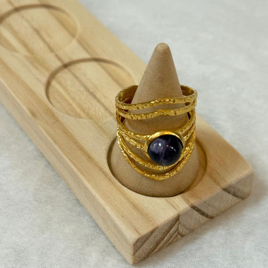 Anillo Órbita